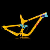 Available Painted Enduro MTB Frame P9