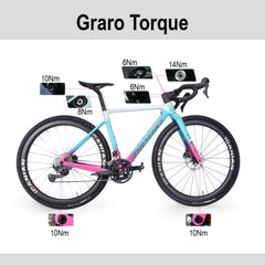 ICAN Graro UCI gravel bike frame Torque