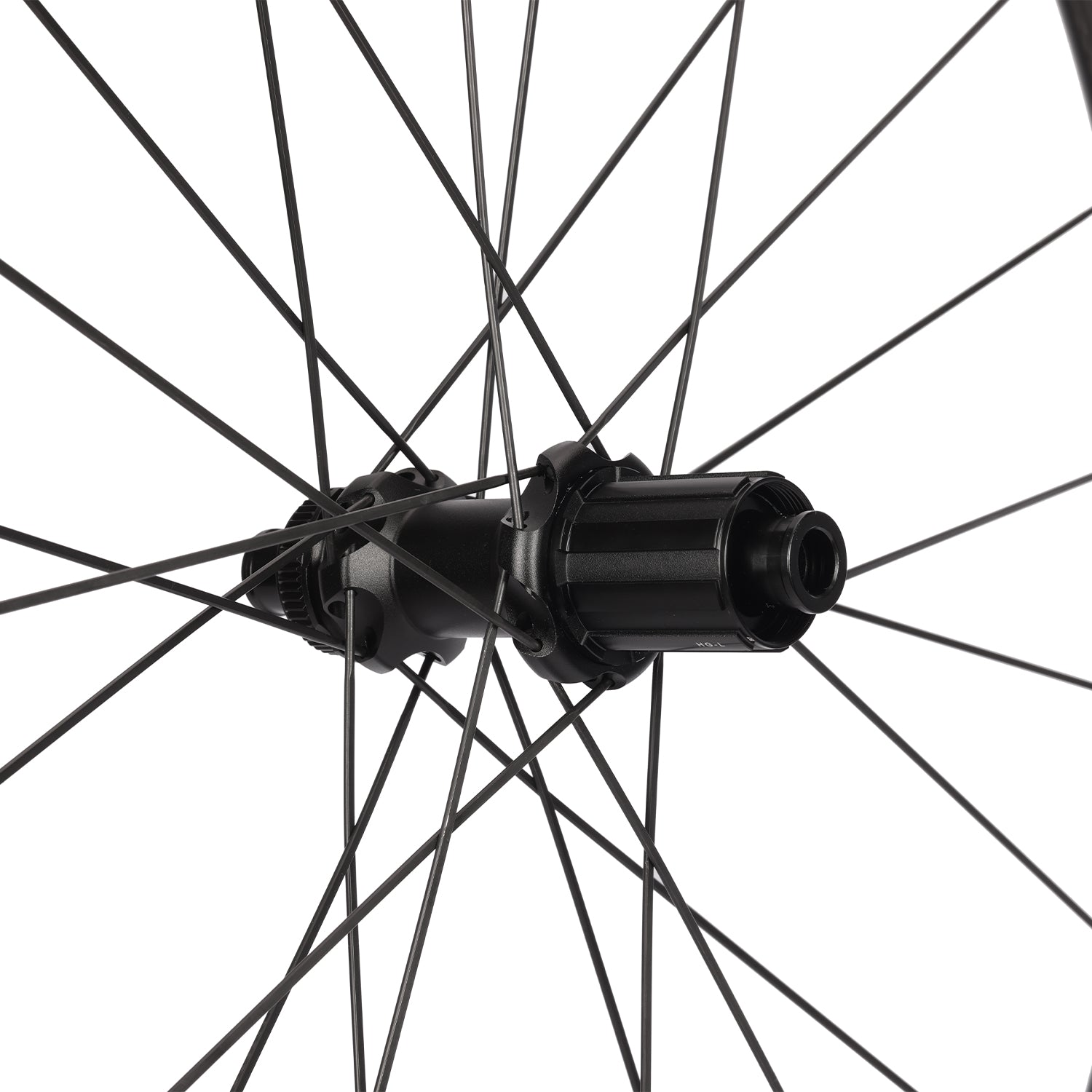 ICAN Pie 38mm disc brake wheelset wid D19 hub